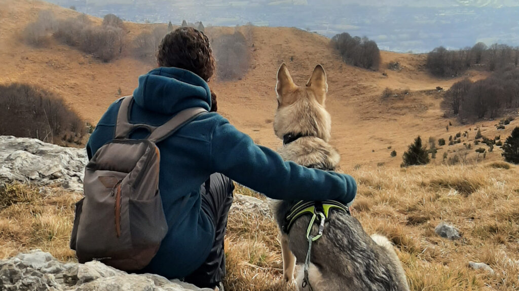 Viaggiare con il cane: il bello e il brutto dei viaggi dog-friendly
