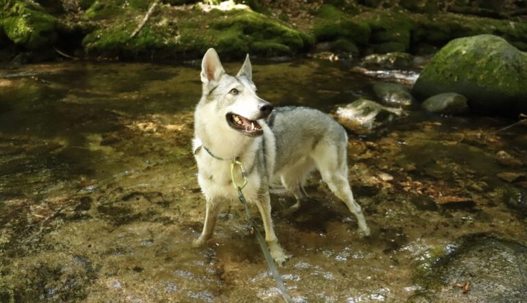 Astrid in Lussemburgo