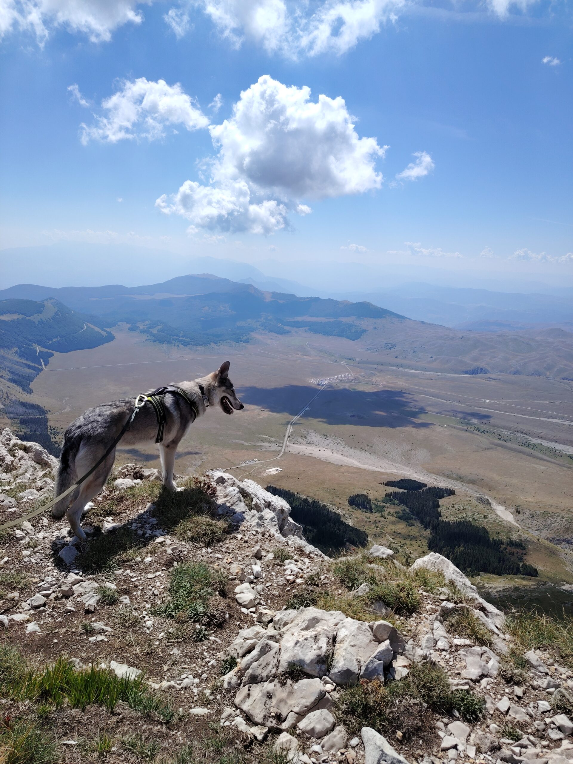 trekking sul monte tremoggia con il cane