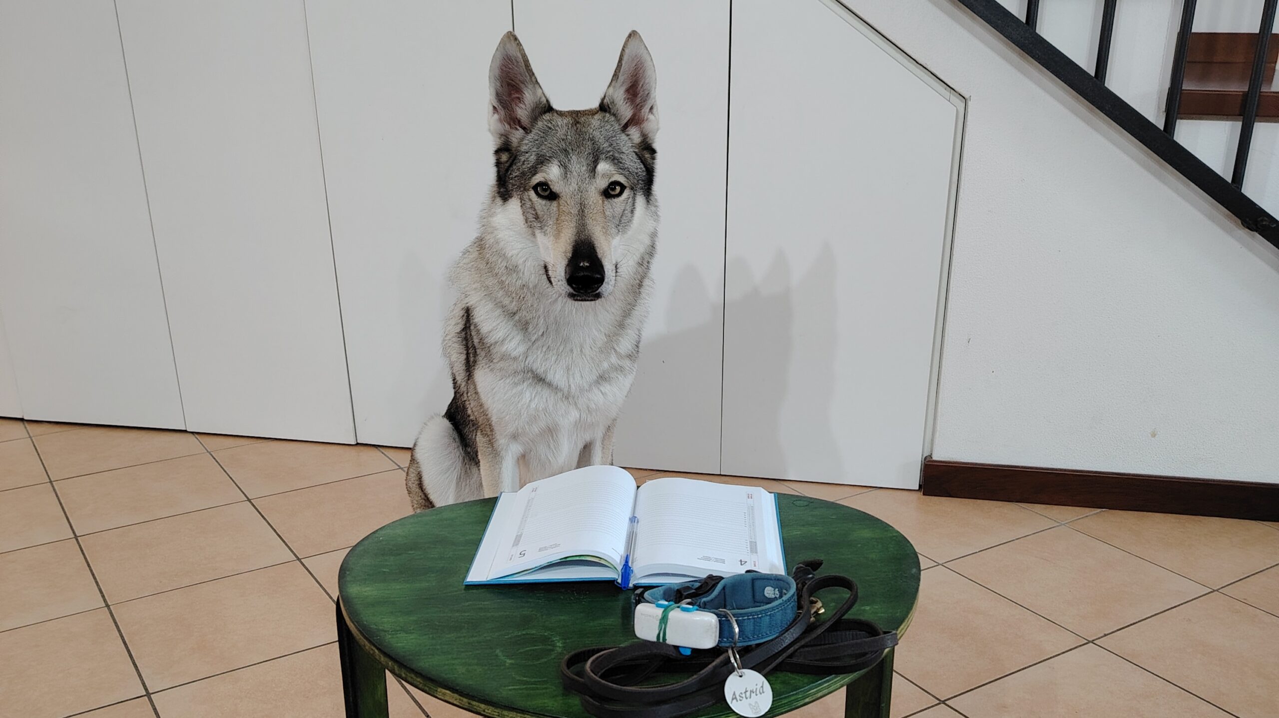 Astrid va a scuola