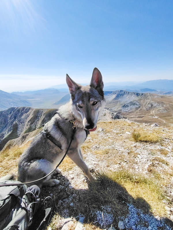 trekking al Monte Aquila con Astrid