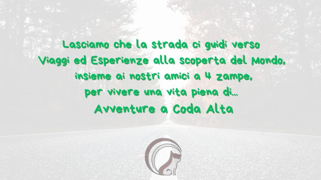 Chi siamo
