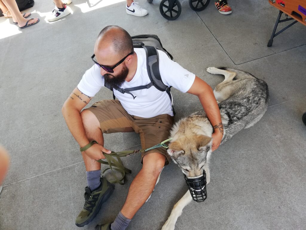 Viaggiare con il cane - Astrid sul traghetto