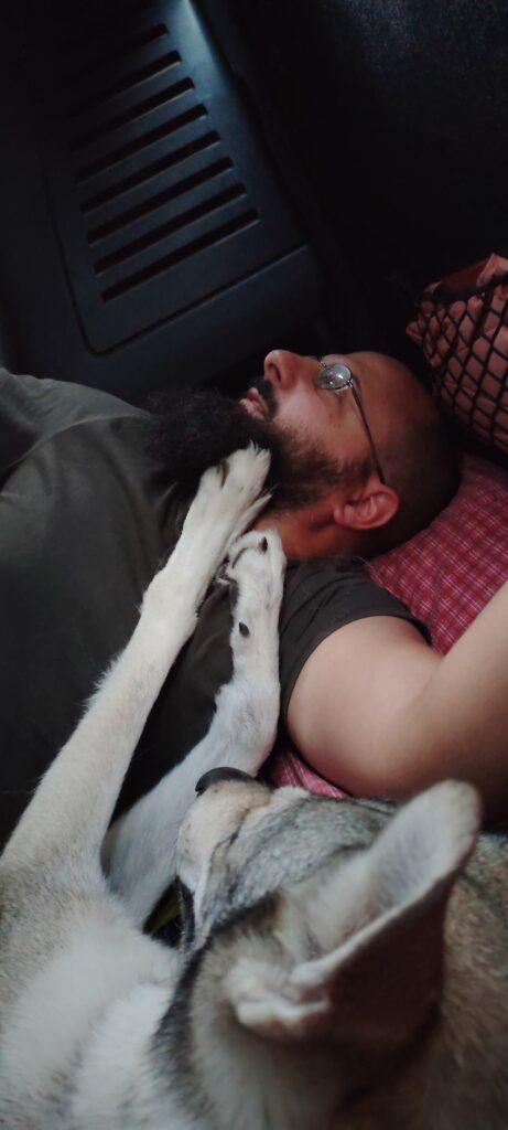 Viaggiare con il cane - Momenti scomodi
