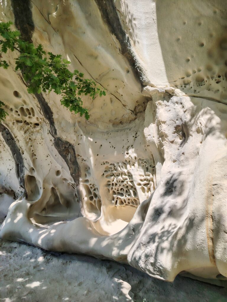 Grotte di soprasasso - Avventure a coda alta