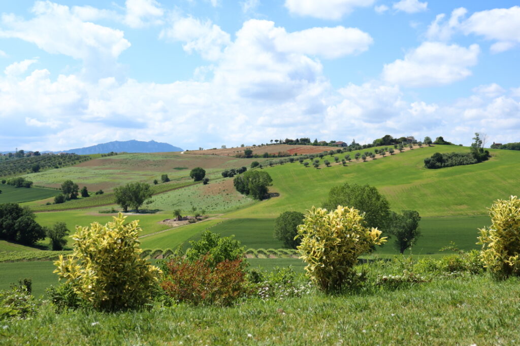 Colline romagnole - Podere Bianchi