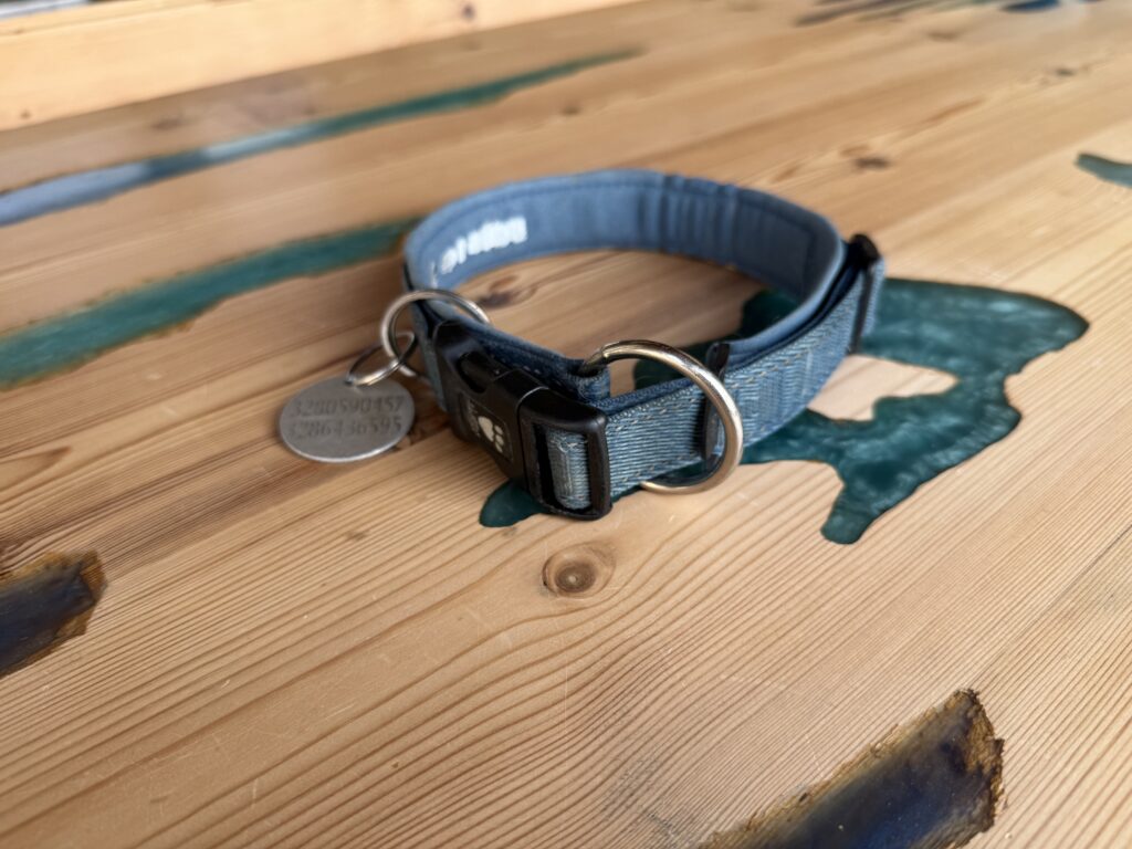Equipaggiamento per cani - collare fisso
