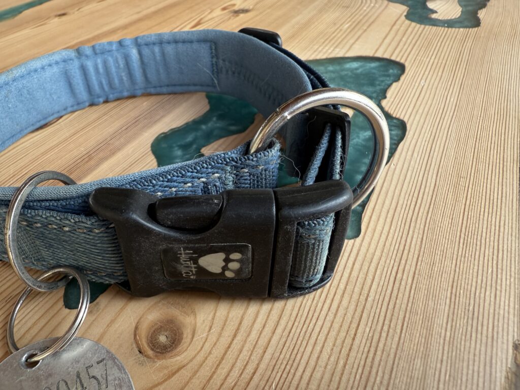 Equipaggiamento per cani - collare fisso