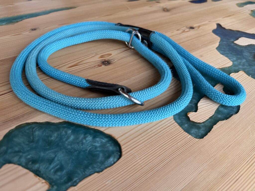 Equipaggiamento per cani - guinzaglio retriever