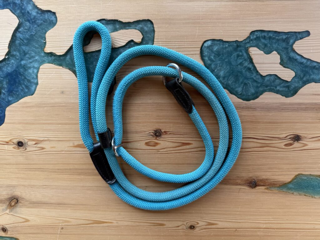Equipaggiamento per cani - guinzaglio retriever