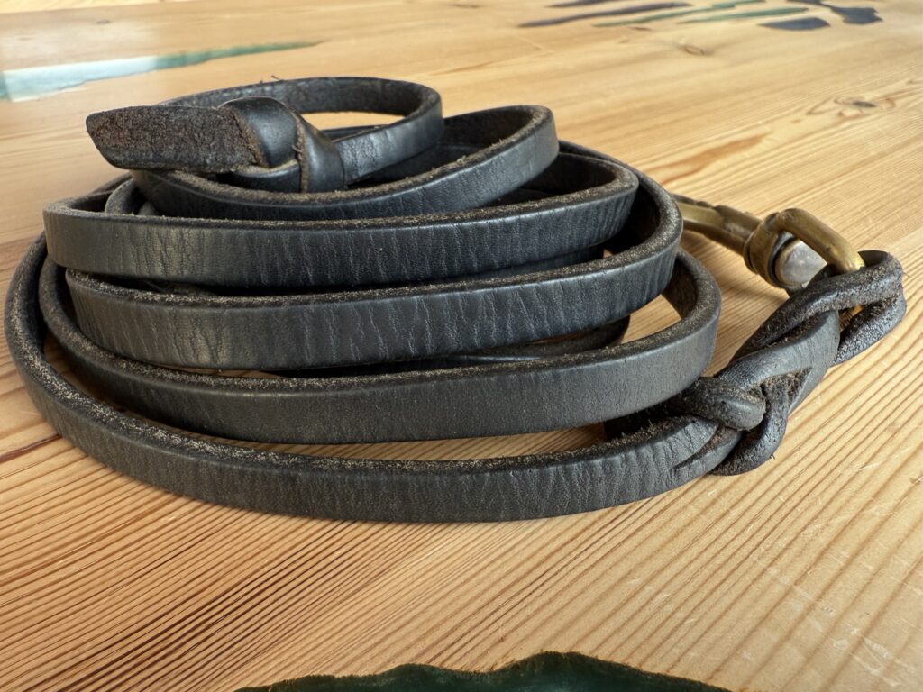 Equipaggiamento per cani - guinzaglio in cuoio da addestramento