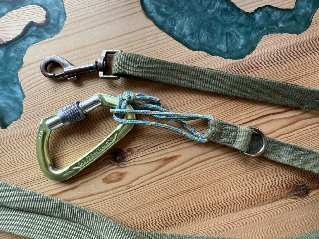 Equipaggiamento per cani - guinzaglio estendibile