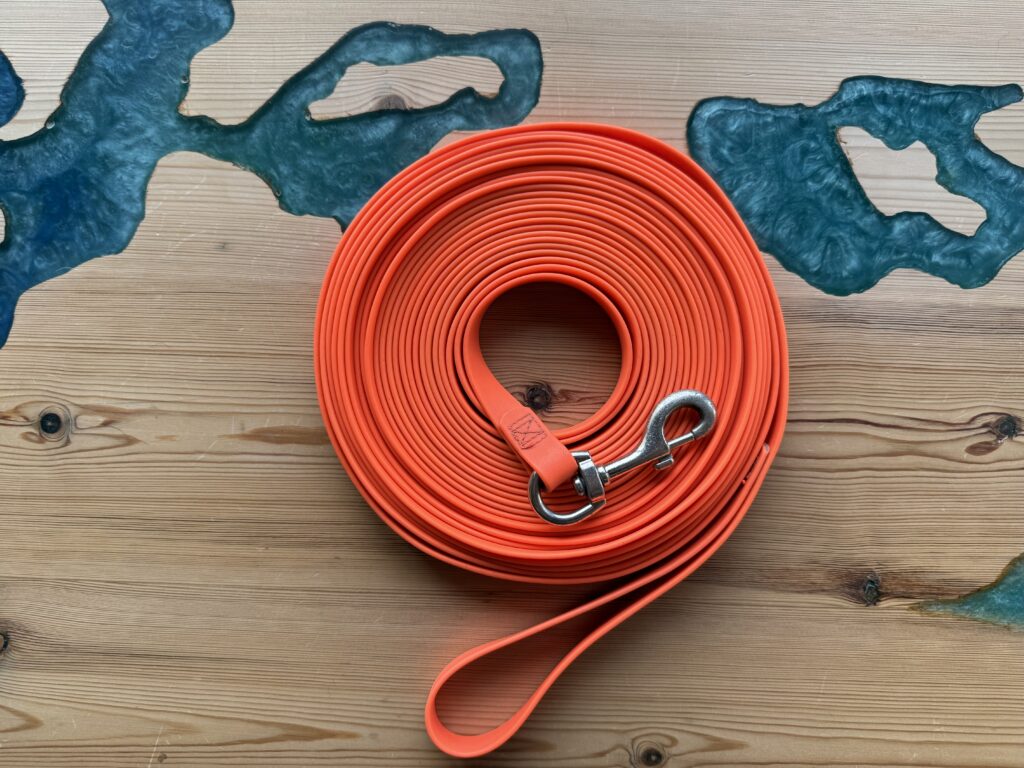 Equipaggiamento per cani - lunghina 10m