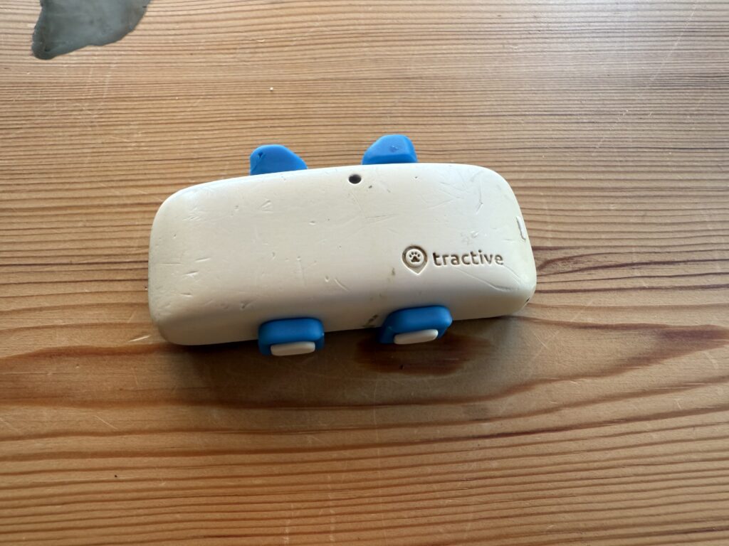 Equipaggiamento per cani - localizzatore gps tractive