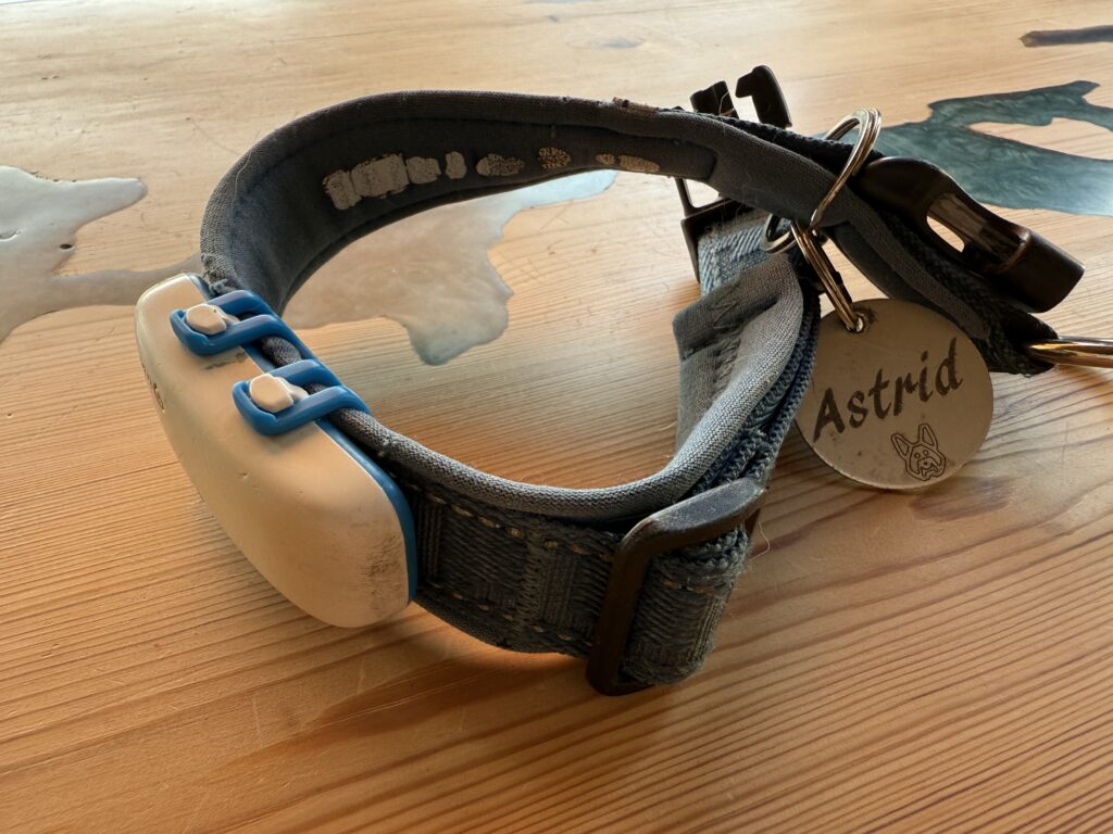 Equipaggiamento per cani - localizzatore gps tractive
