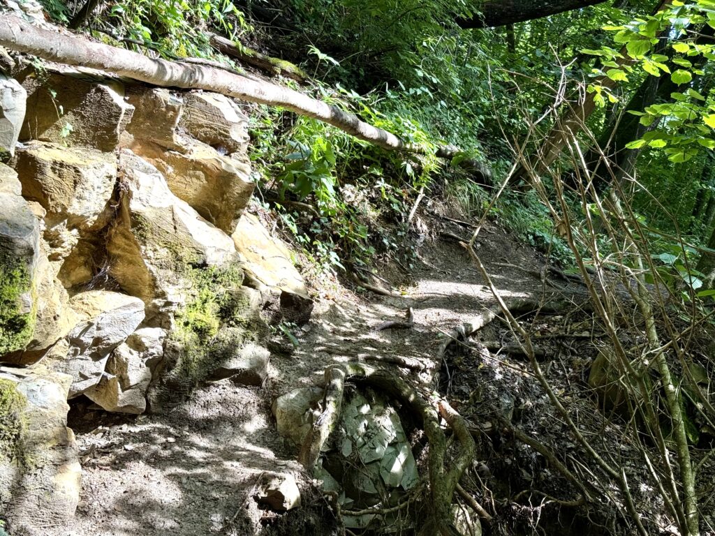 Cascate del Bucamante - trekking con il cane in Appennino Modenese