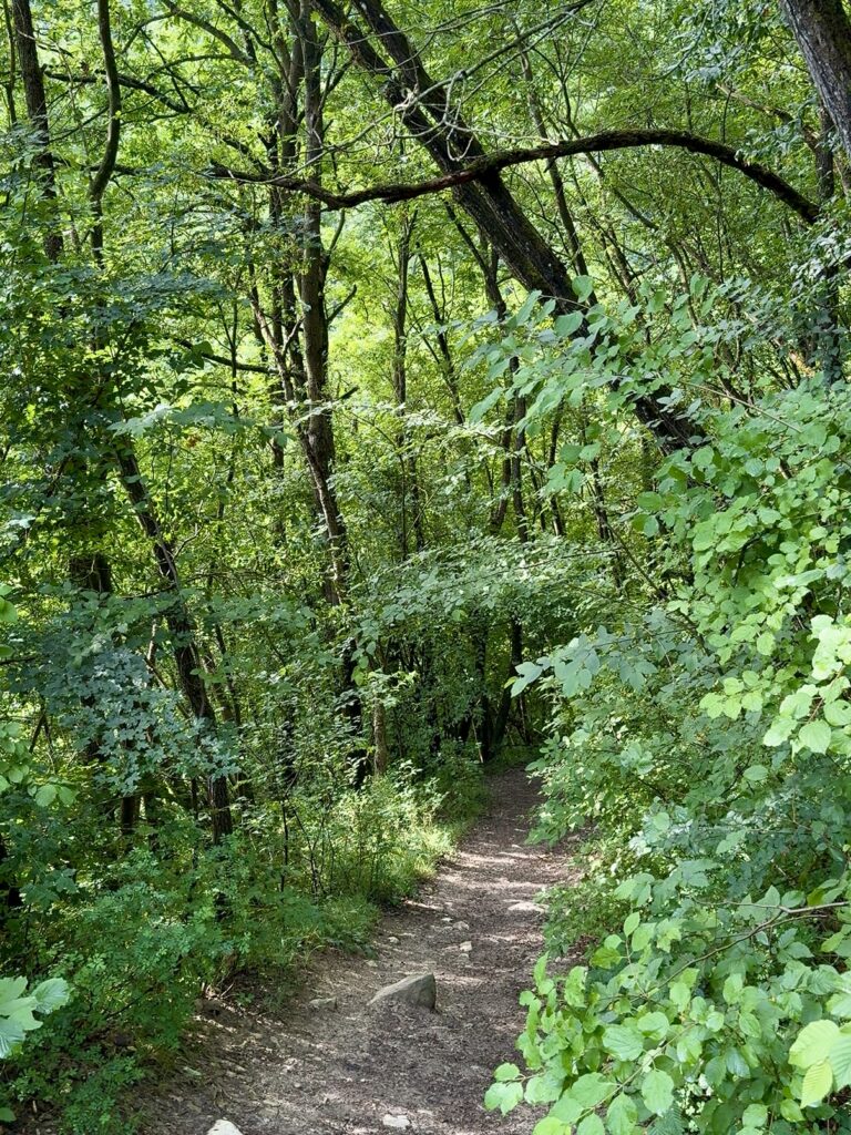 Cascate del Bucamante - trekking con il cane in Appennino Modenese