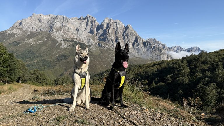 spagna on the road con il cane - picos de europa