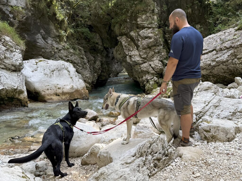 Slovenia_11-mete-dog-friendly_Kamniska_2