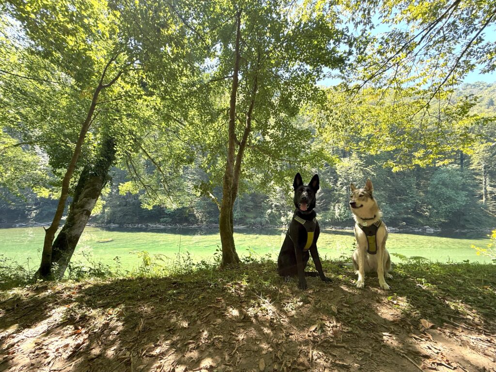 Slovenia_11-mete-dog-friendly_Kolpa