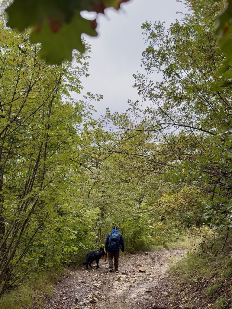 Bosco di Faeto con il cane