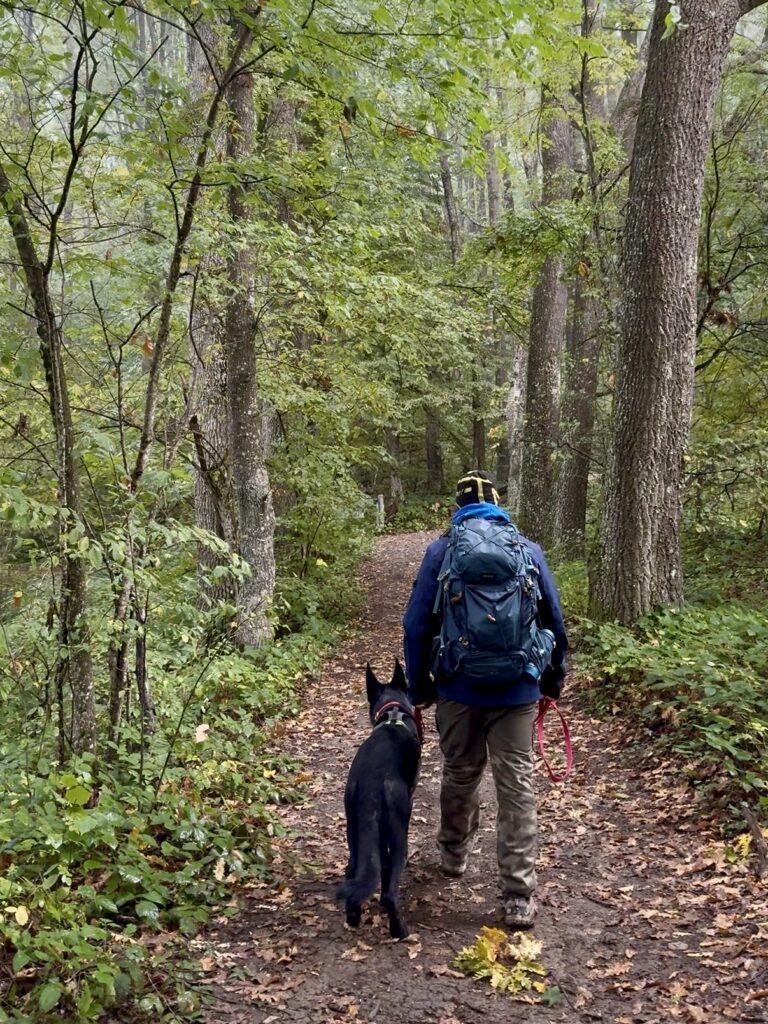 Bosco di Faeto con il cane