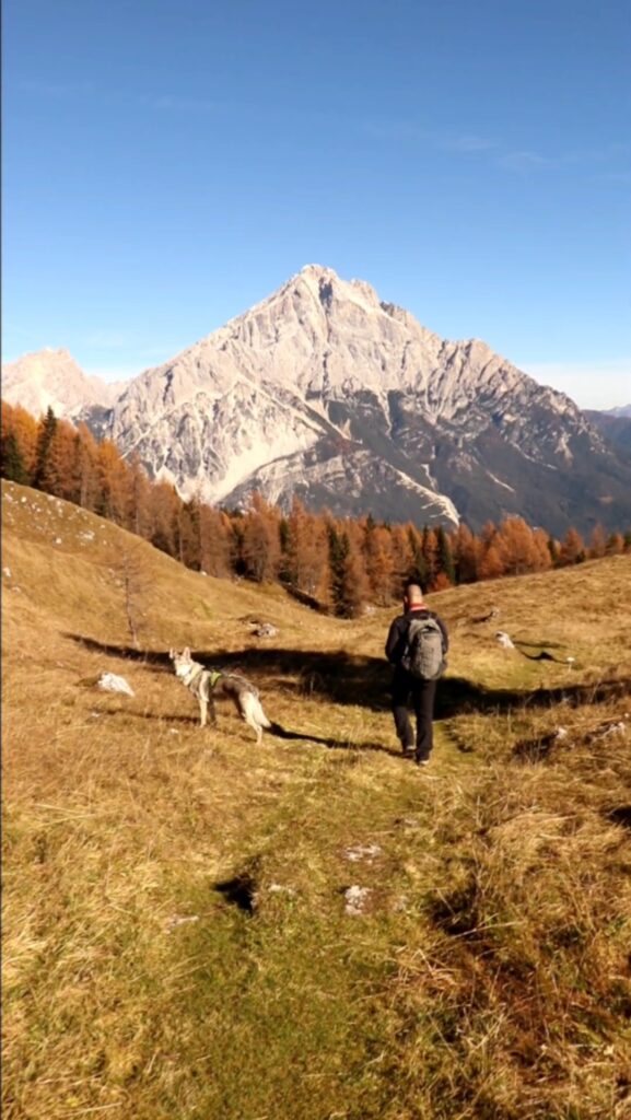 Monte Pelmo - Anello Zoldano con il cane