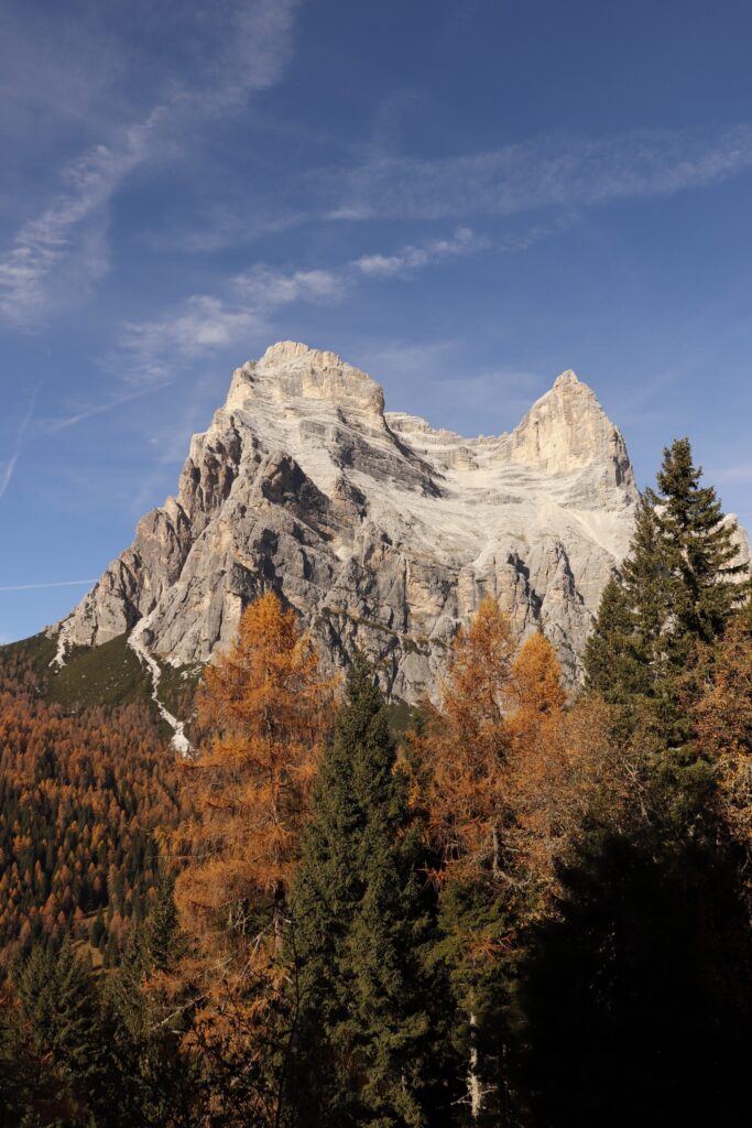 Monte Pelmo - Anello Zoldano con il cane