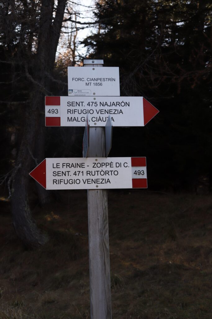 Monte Pelmo - Anello Zoldano con il cane