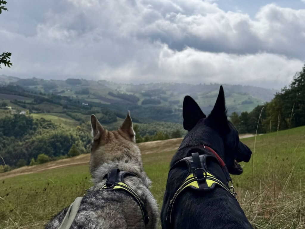 Vanga del Diavolo con il cane