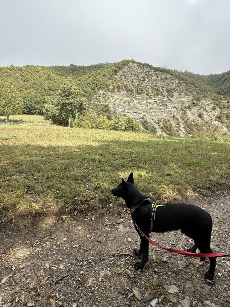 Vanga del Diavolo con il cane