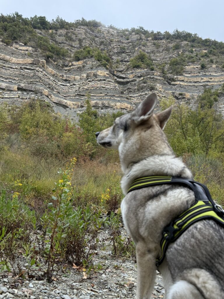 Vanga del Diavolo con il cane