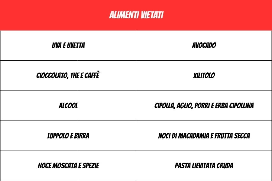 tabella alimenti vietati ai cani
