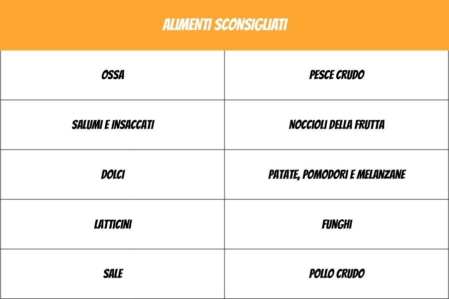 tabella alimenti sconsigliati ai cani
