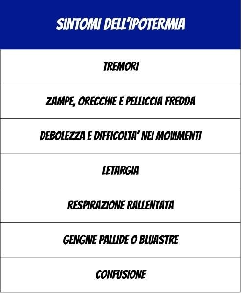 Segnali dell'ipotermia nei cani al freddo