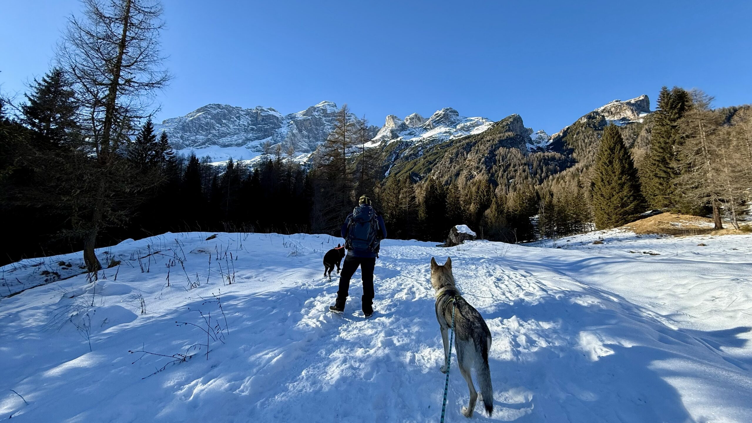 Escursione invernale in Val di Zoldo con il cane