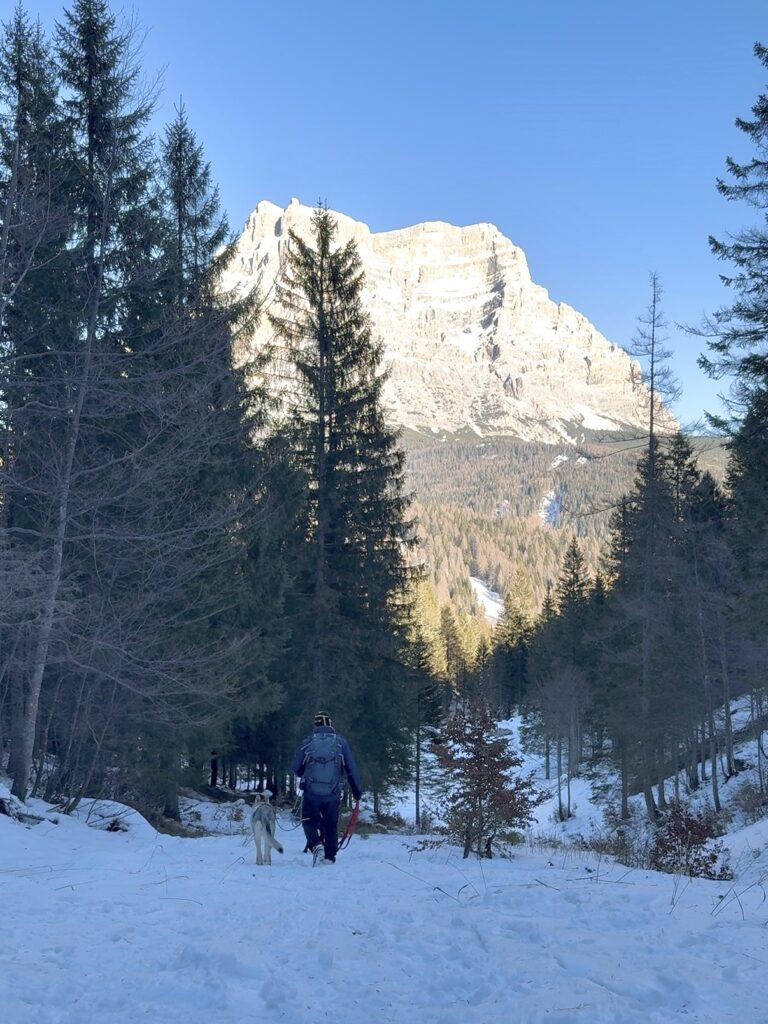 Val-di-Zoldo-con-il-cane-Monte-Pelmo
