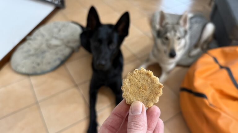 Ricetta biscotti per cani alla mela