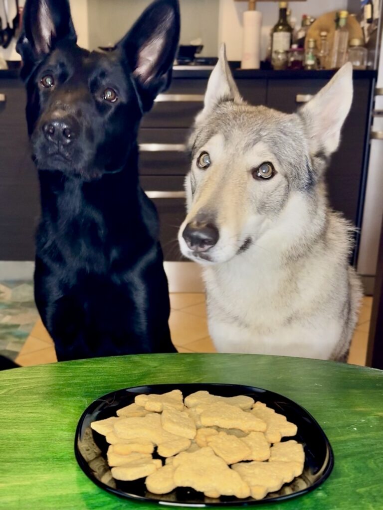 Ricetta biscotti per cani alla mela