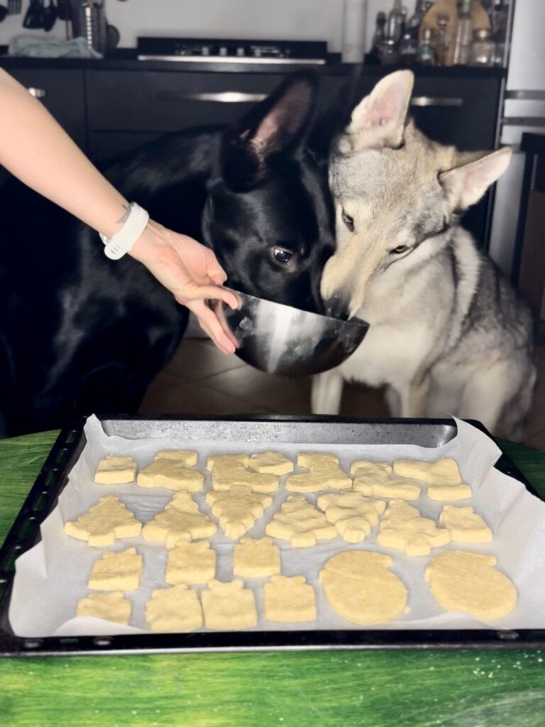 Ricetta biscotti per cani alla mela
