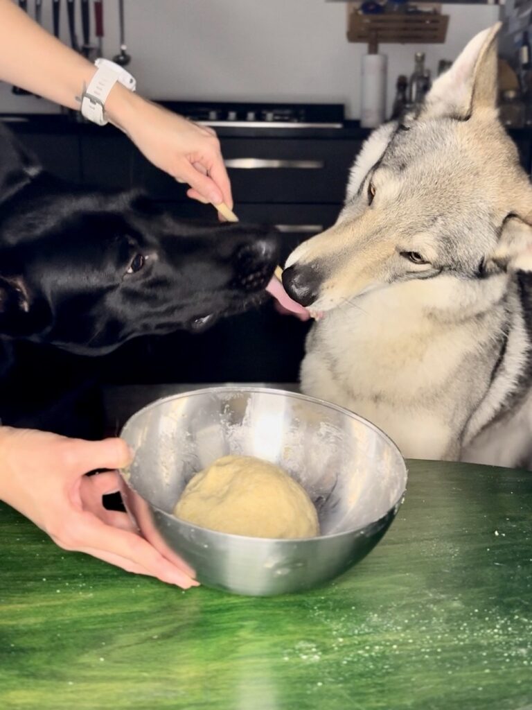 Ricetta biscotti per cani alla mela
